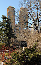 NYC portfolio