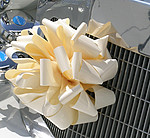 Silk Ribbon