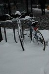 Frozen Bikes